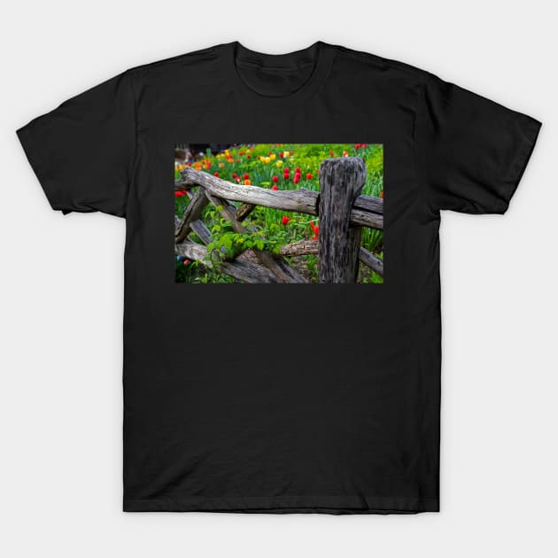 Central Park Shakespeare Garden New York City NY Wooden Fence T-Shirt by WayneOxfordPh